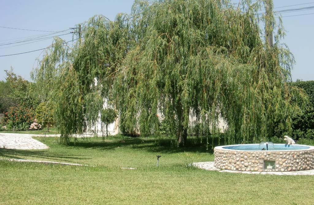Apartament Quinta Da Harmonia Azeitão Zewnętrze zdjęcie