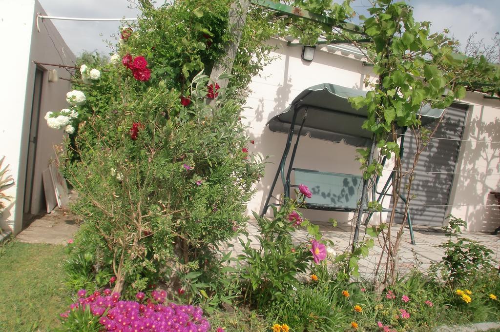 Apartament Quinta Da Harmonia Azeitão Zewnętrze zdjęcie